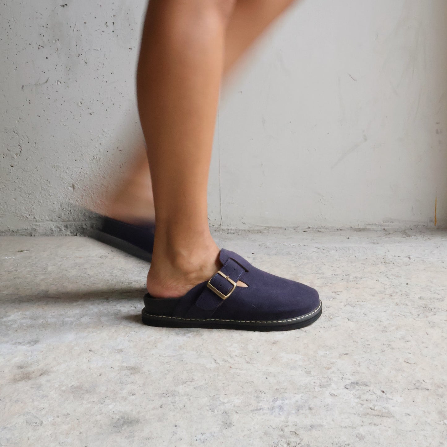 Palomino Navy