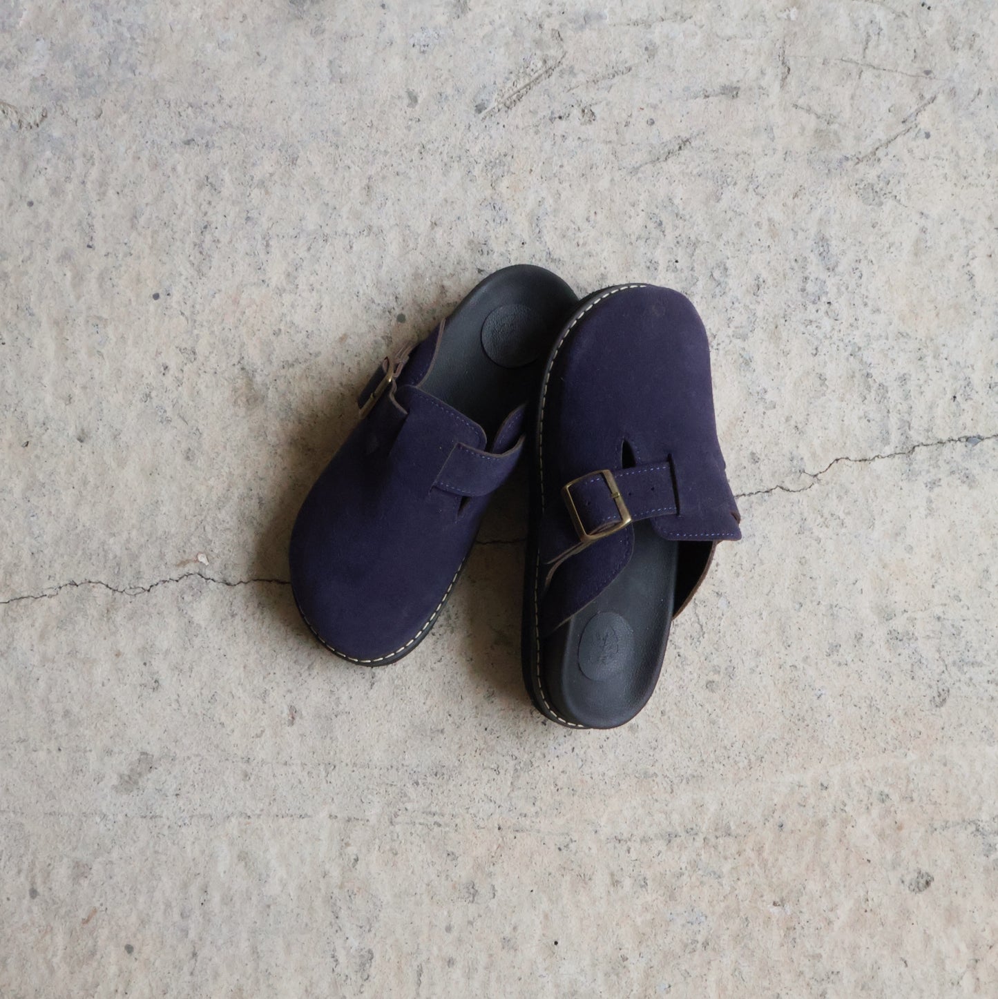 Palomino Navy