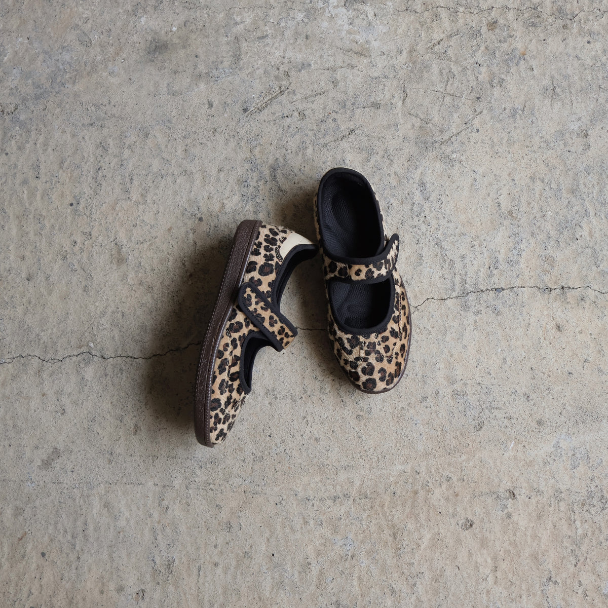 Sneaky MJ Cheetah