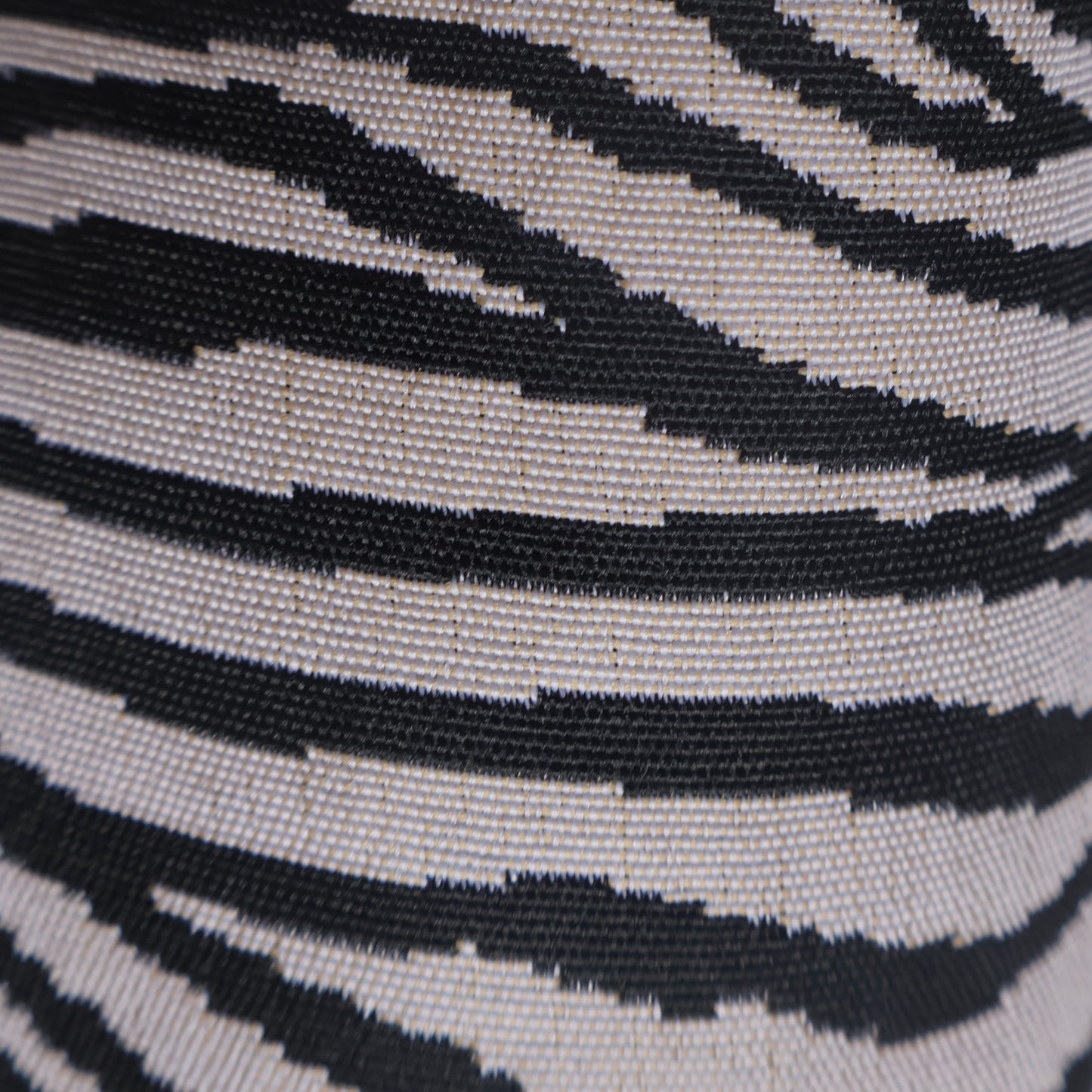 Chunky Palomino 🦓 Zebra