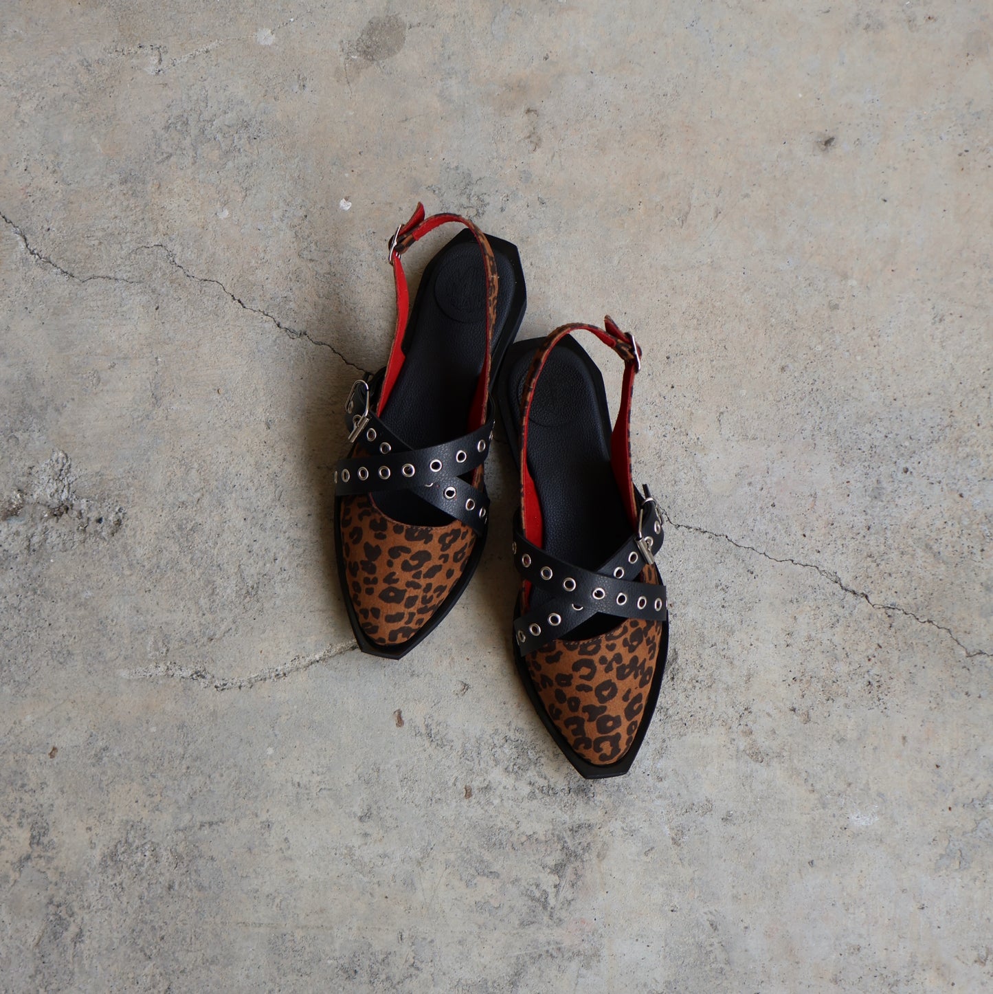 Wild Ballerina Print 🐆