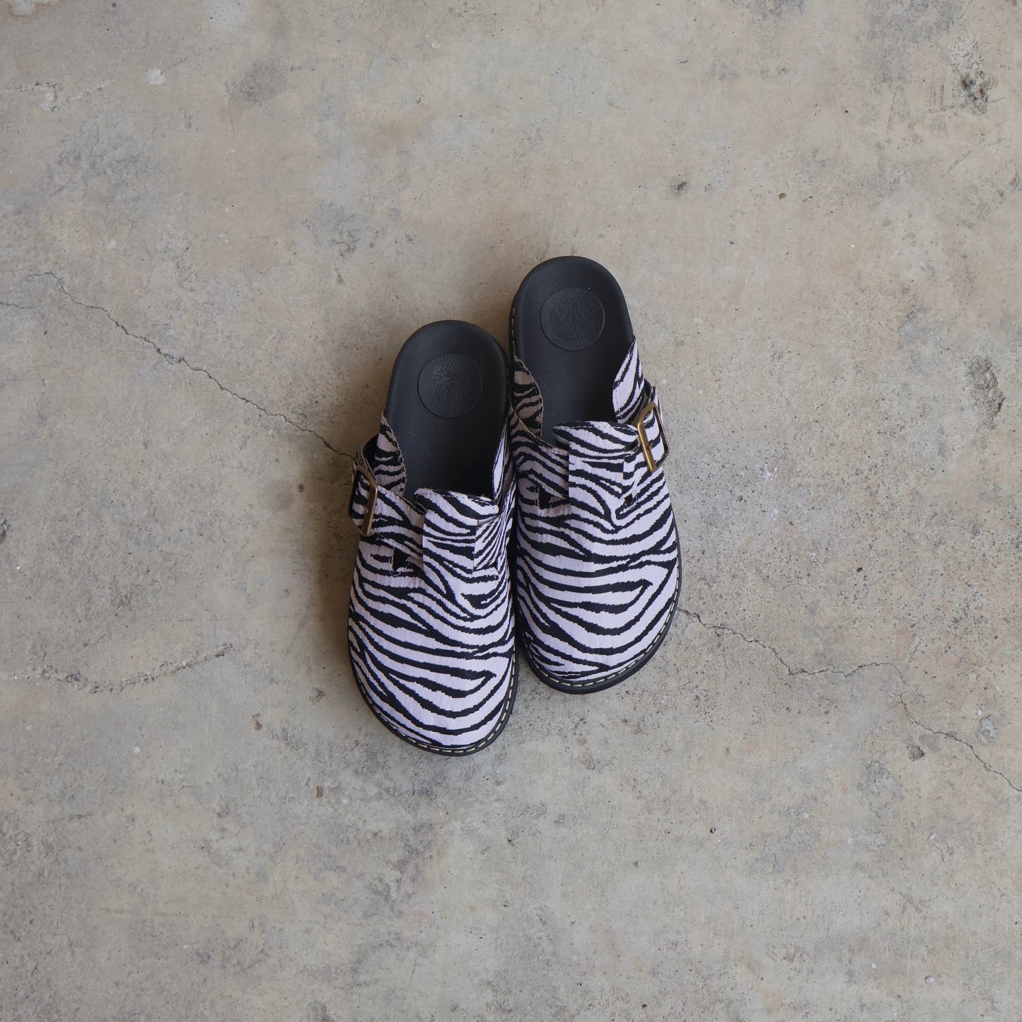 Chunky Palomino 🦓 Zebra