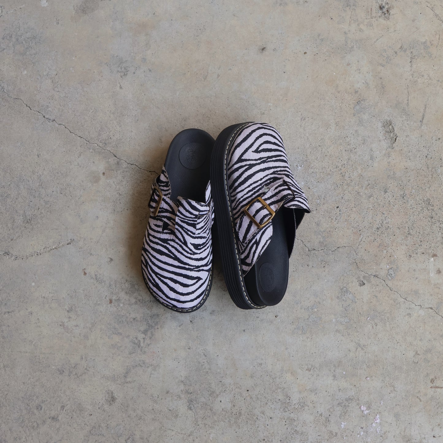 Chunky Palomino 🦓 Zebra