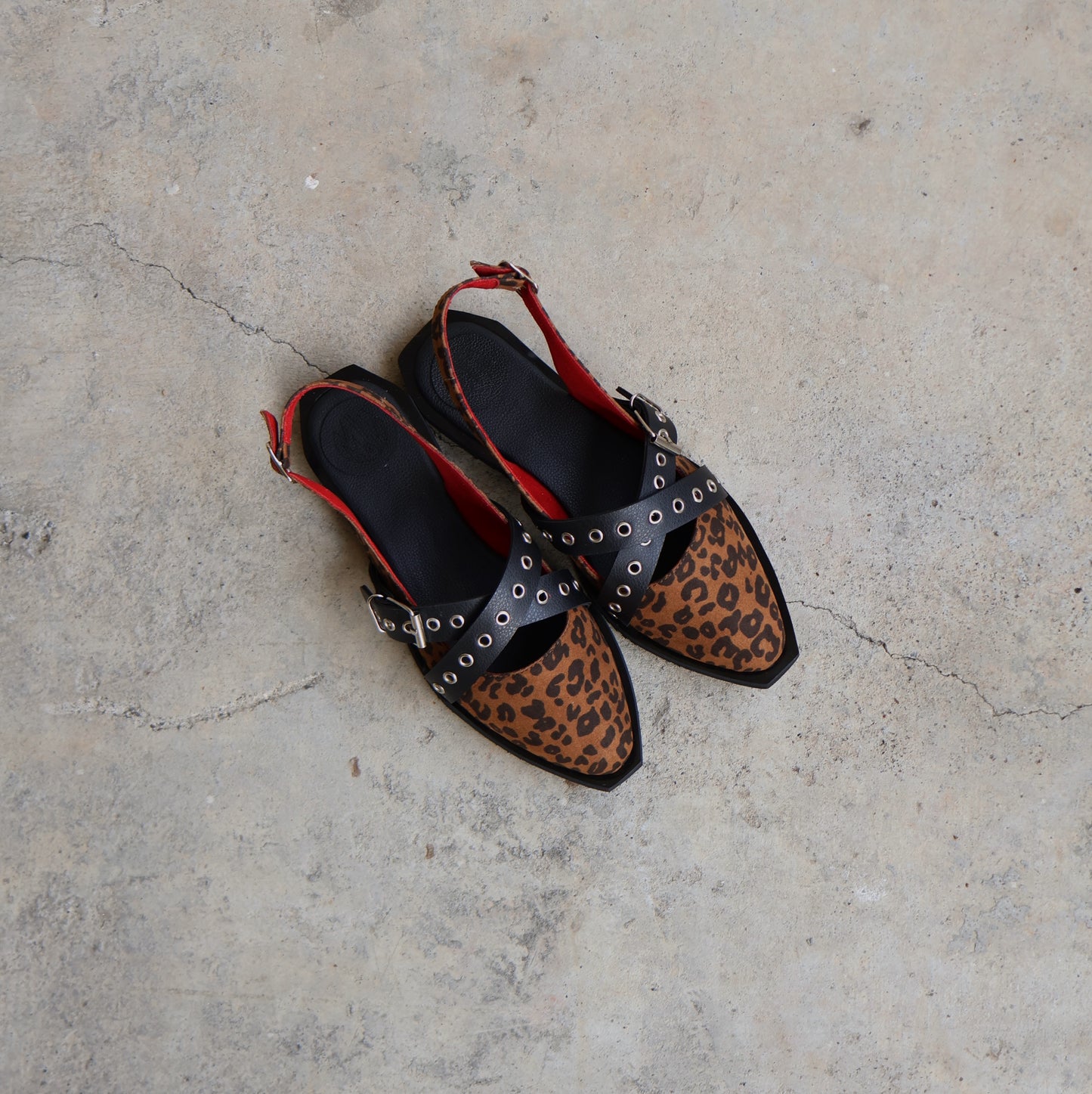 Wild Ballerina Print 🐆