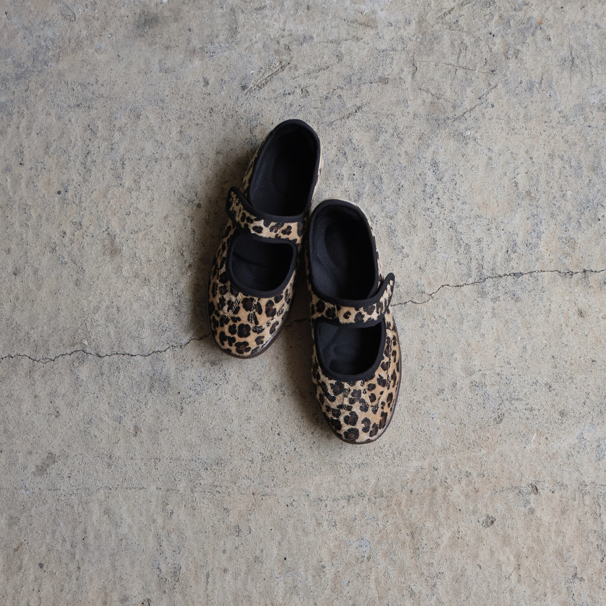 Sneaky MJ Cheetah