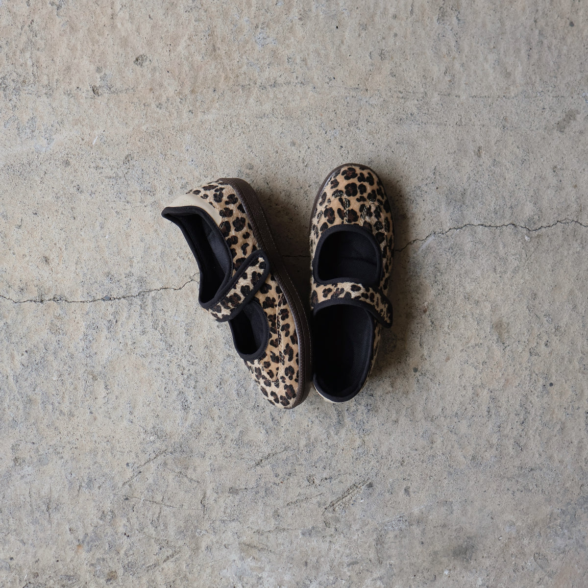Sneaky MJ Cheetah