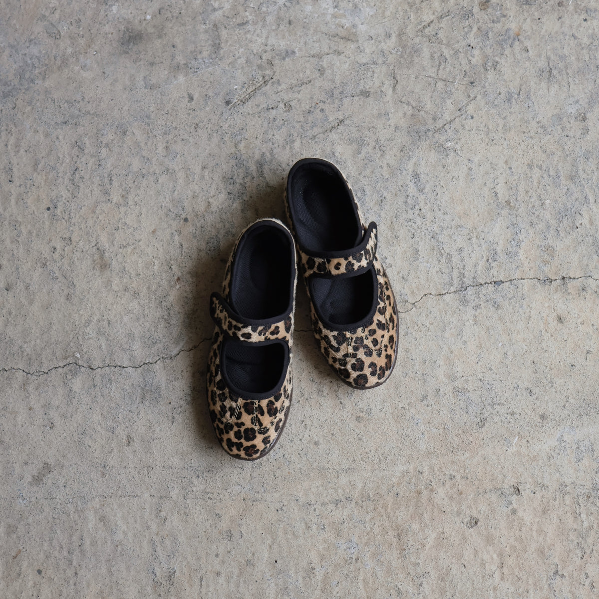 Sneaky MJ Cheetah