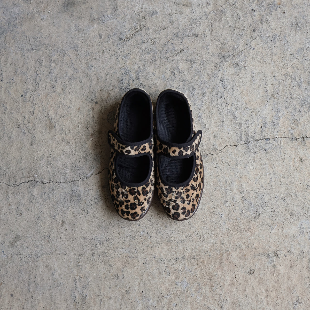 Sneaky MJ Cheetah