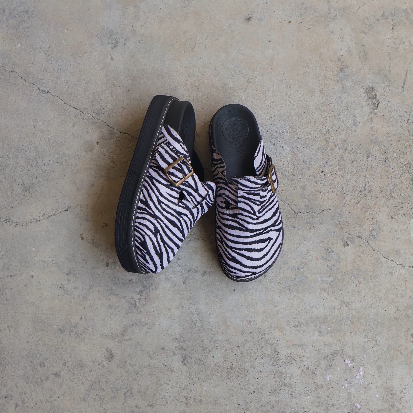 Chunky Palomino 🦓 Zebra