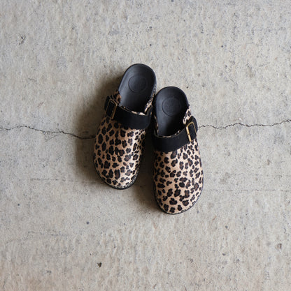 Chunky Palomino 🐆 Cheetah