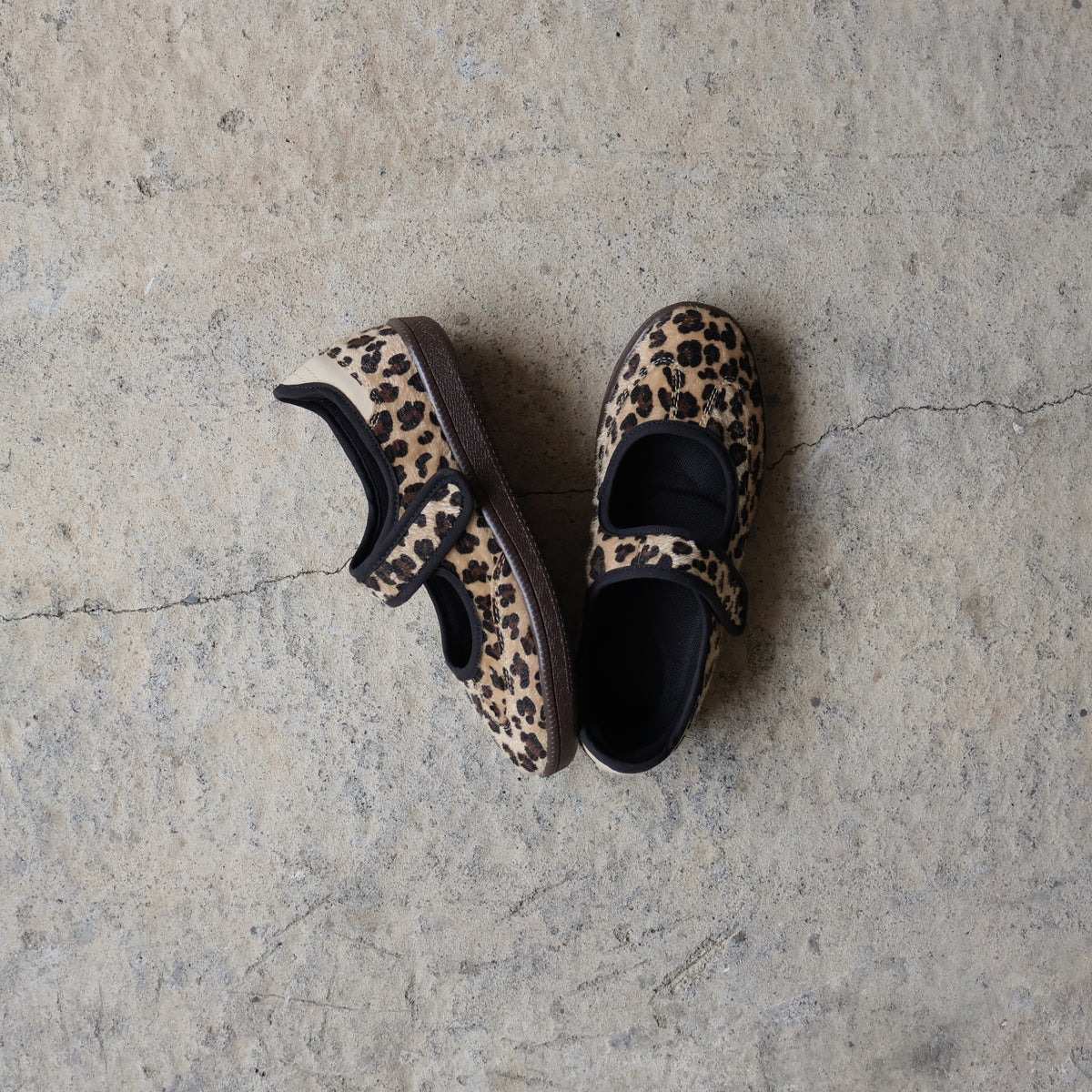 Sneaky MJ Cheetah