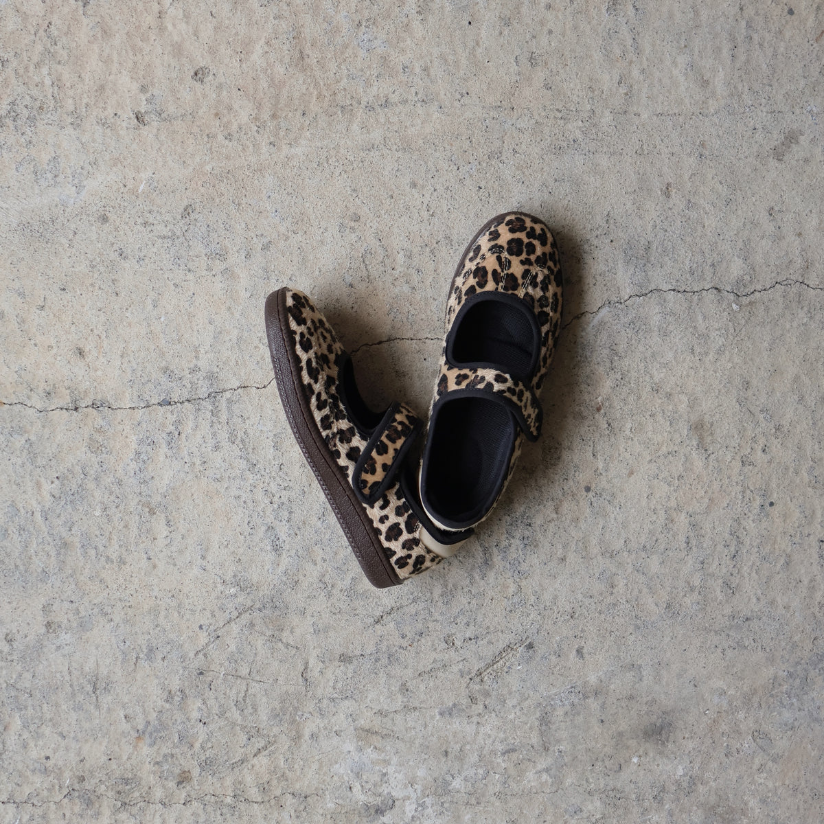 Sneaky MJ Cheetah