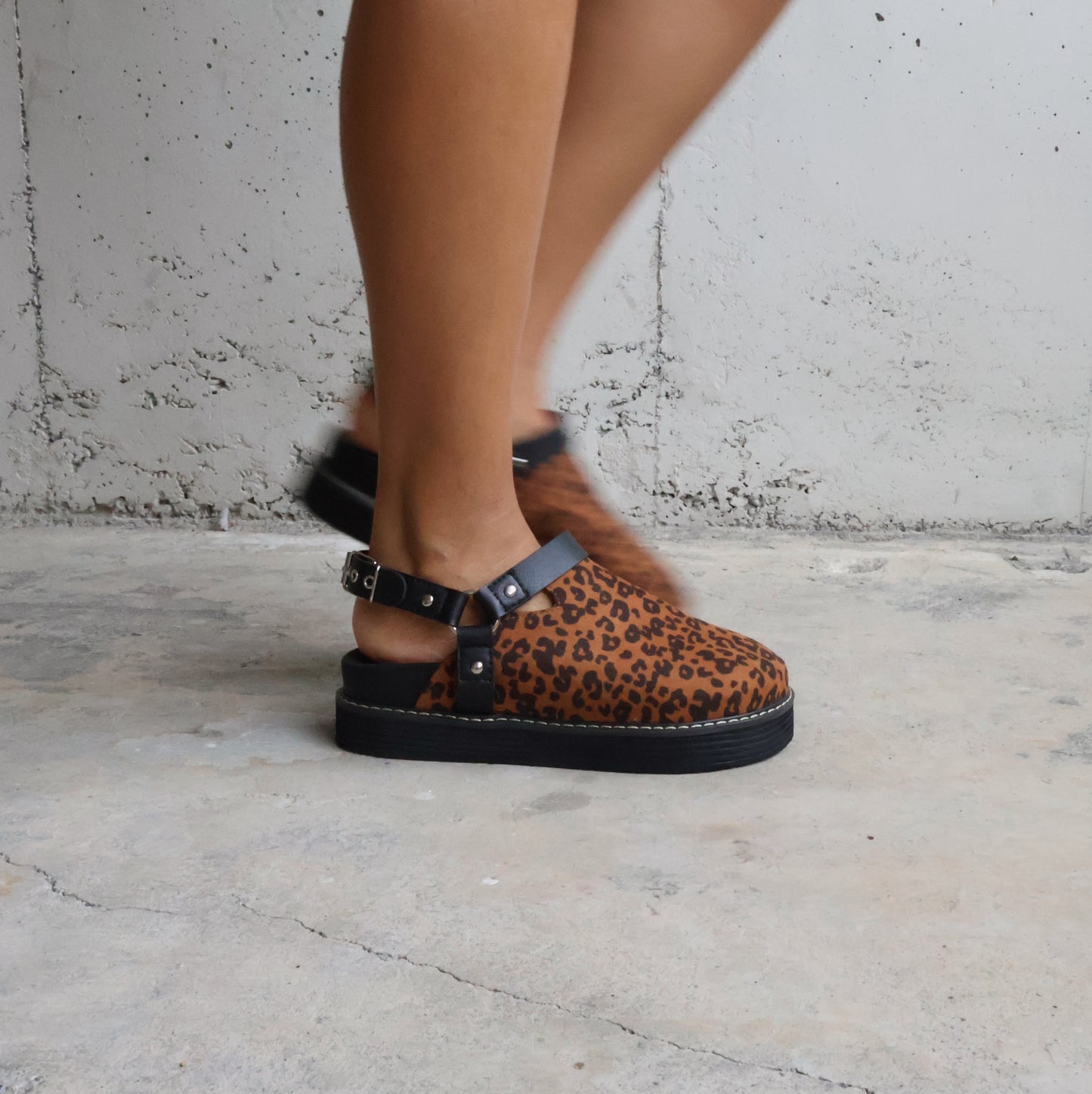 Chunky Palomino 🐆 Print